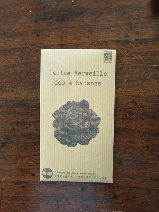 Laitue Merveille des 4 saisons