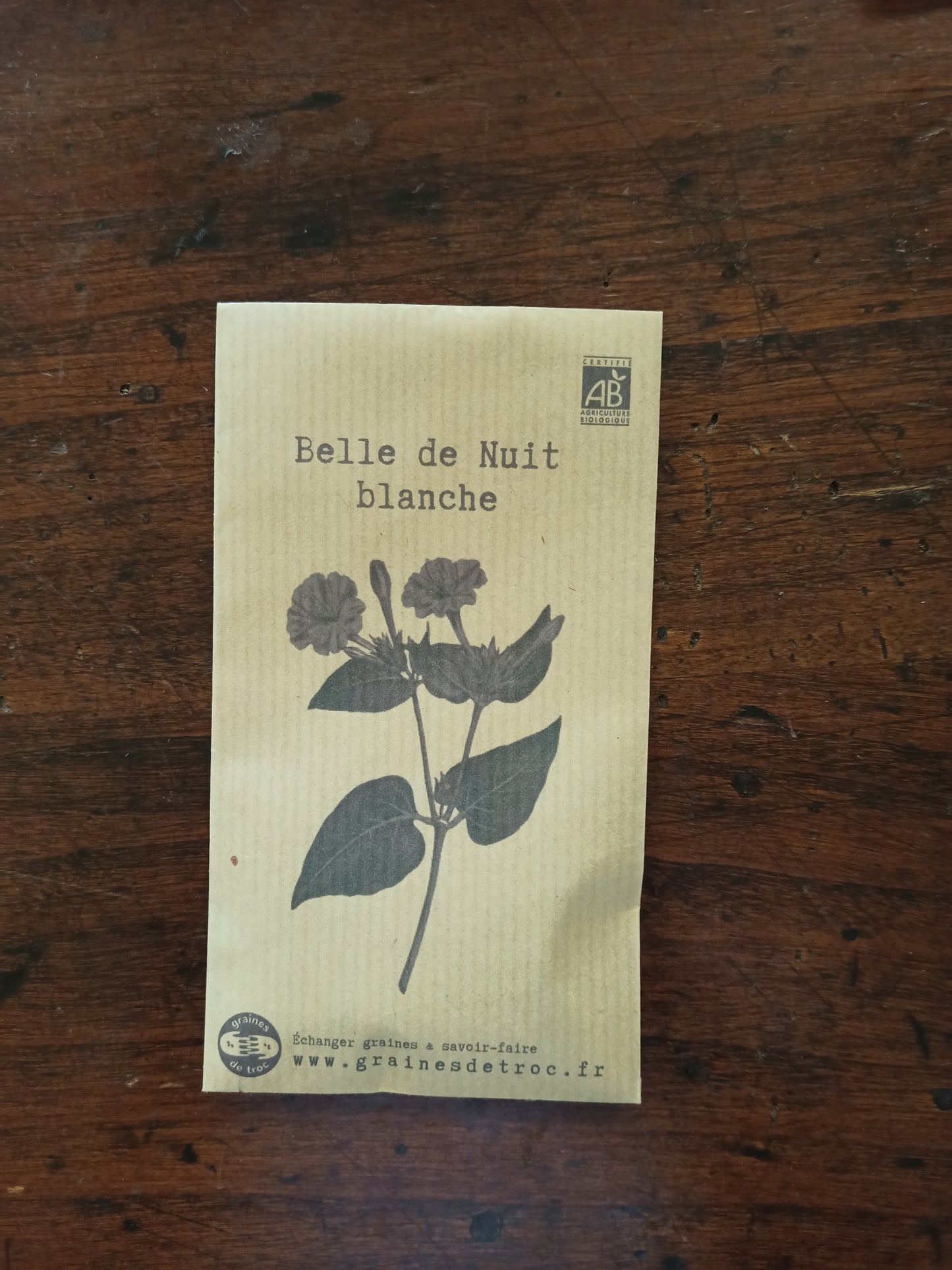 Belle de Nuit blanche
