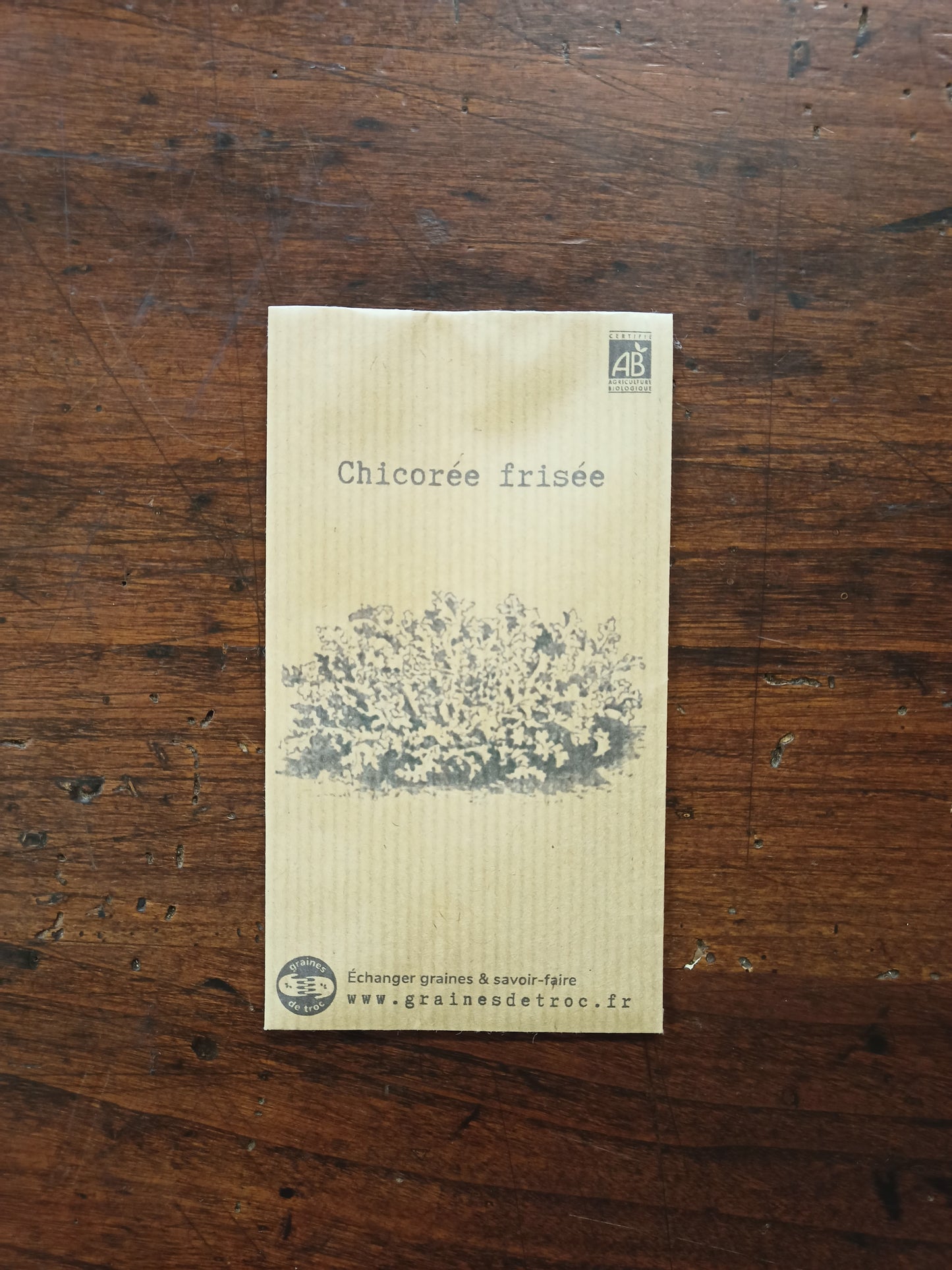 Chicorée Frisée