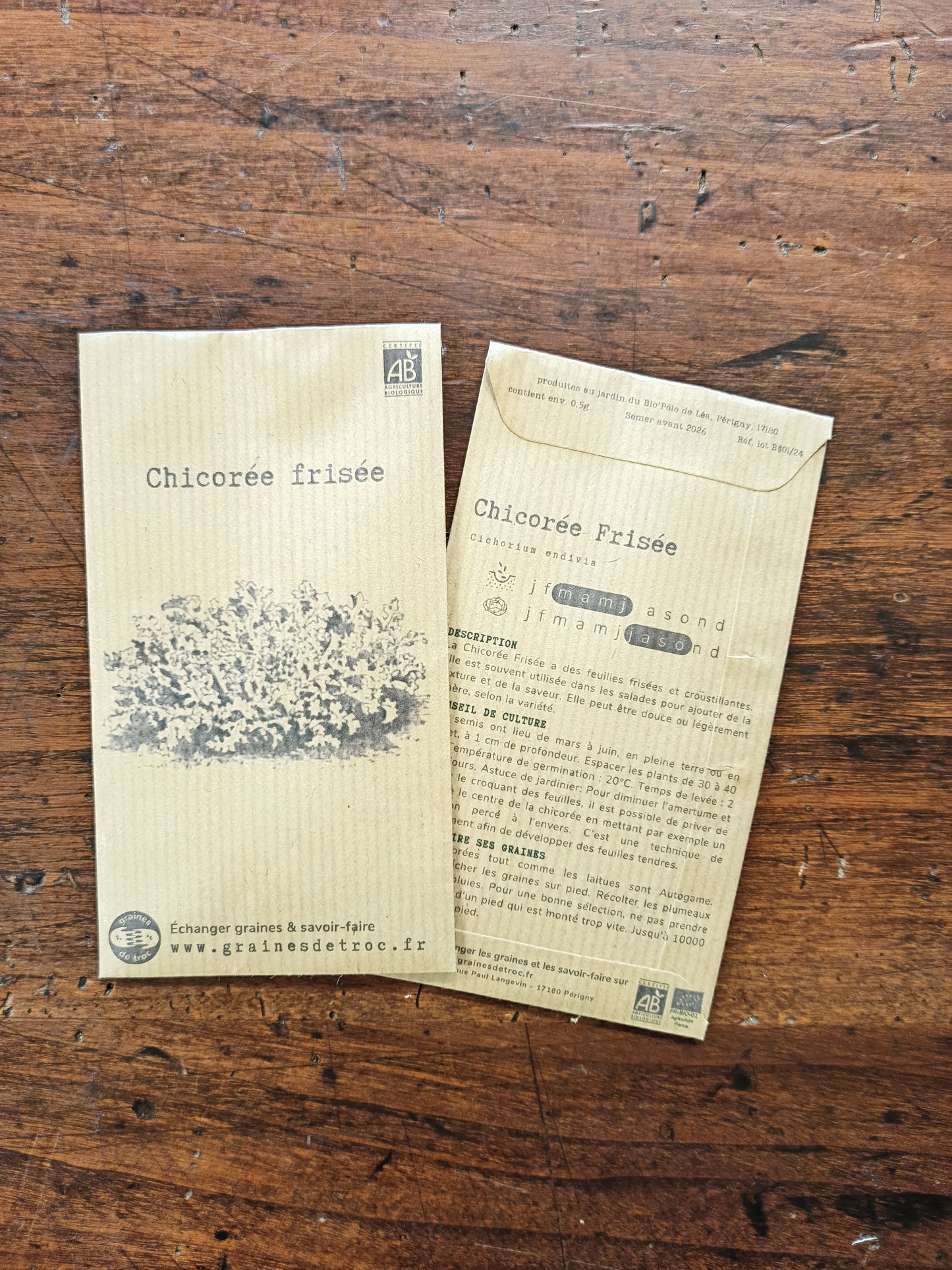 Chicorée Frisée