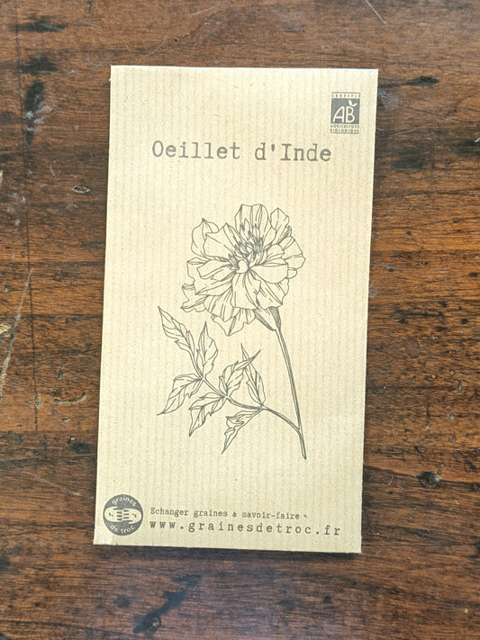 Oeillet d'Inde