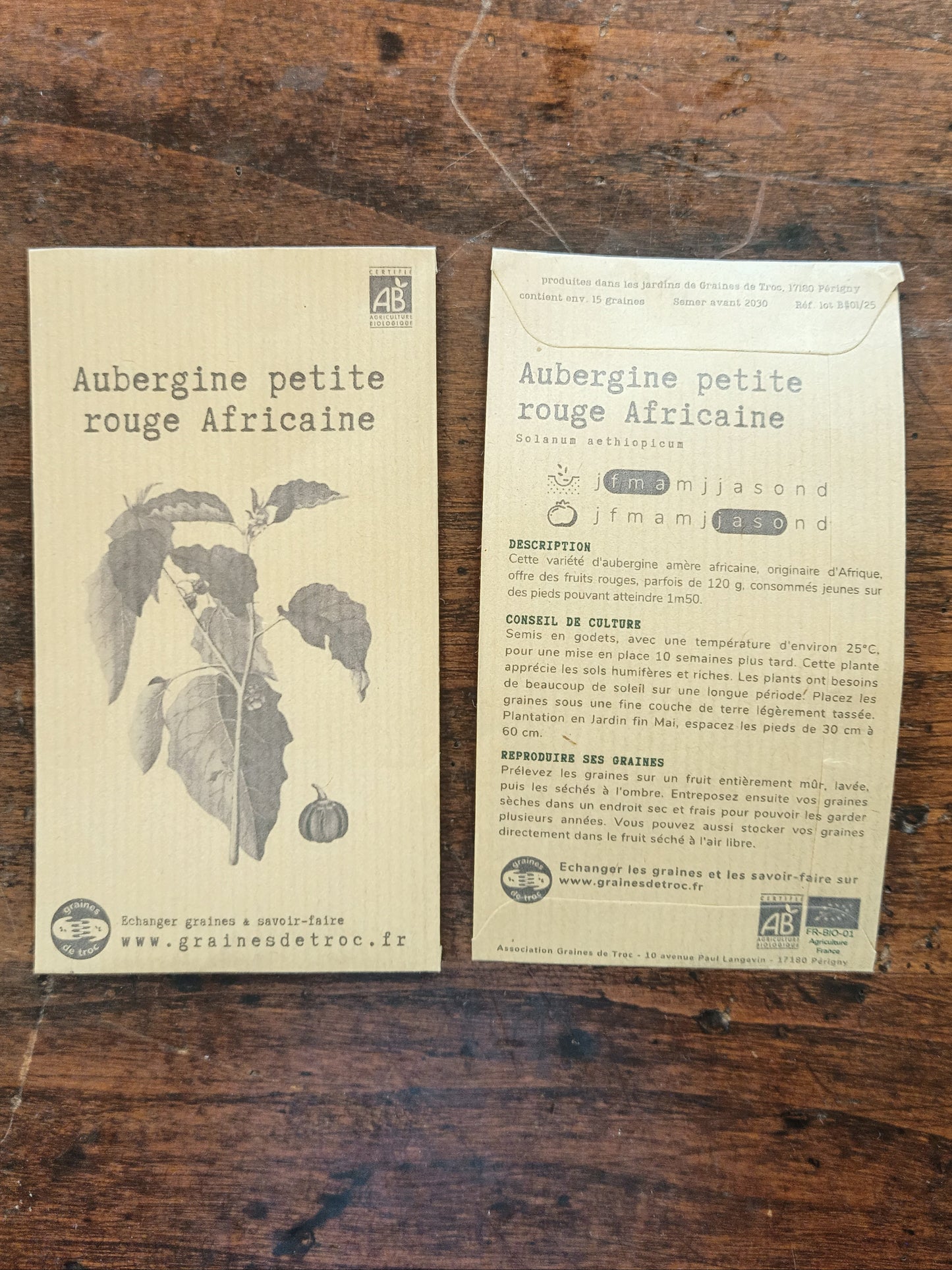 Aubergine petite rouge Africaine