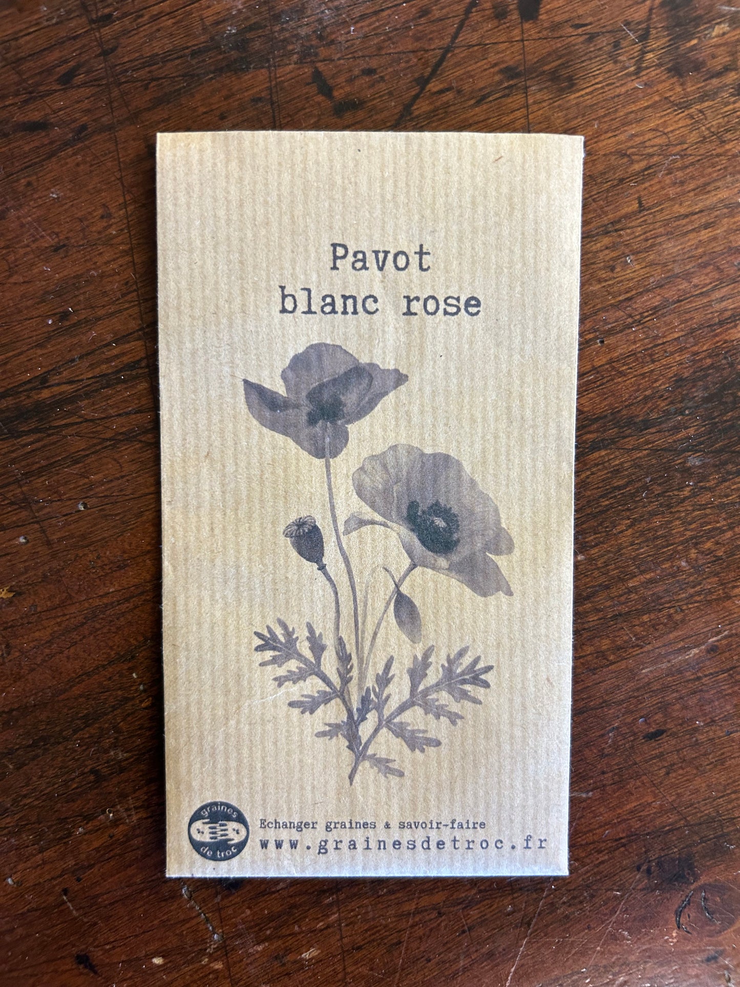 Pavot blanc rose