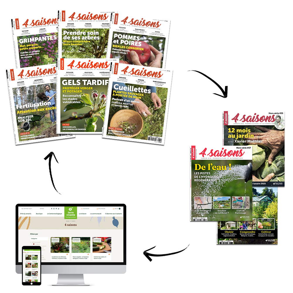 Les 4 saisons - offre esprit