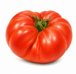 Tomate Bonne fée