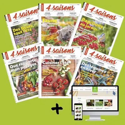 Les 4 saisons - offre basique