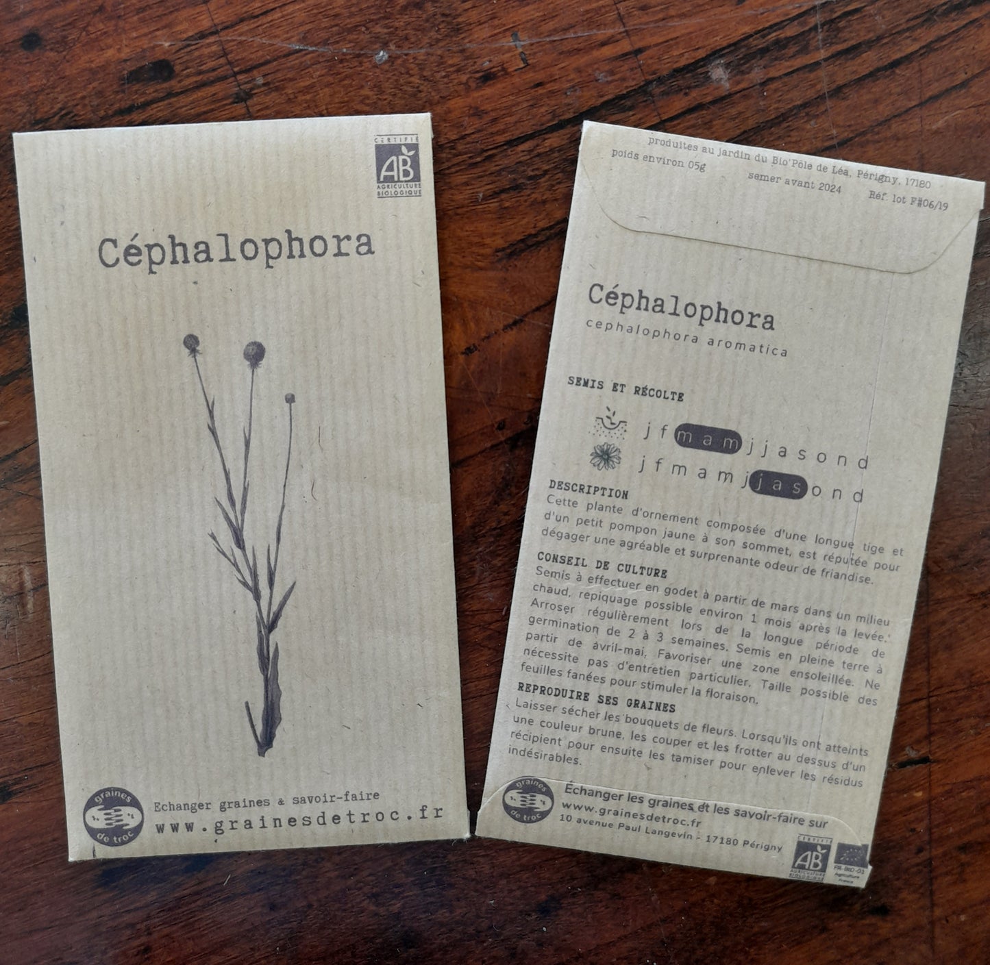 Cephalophora