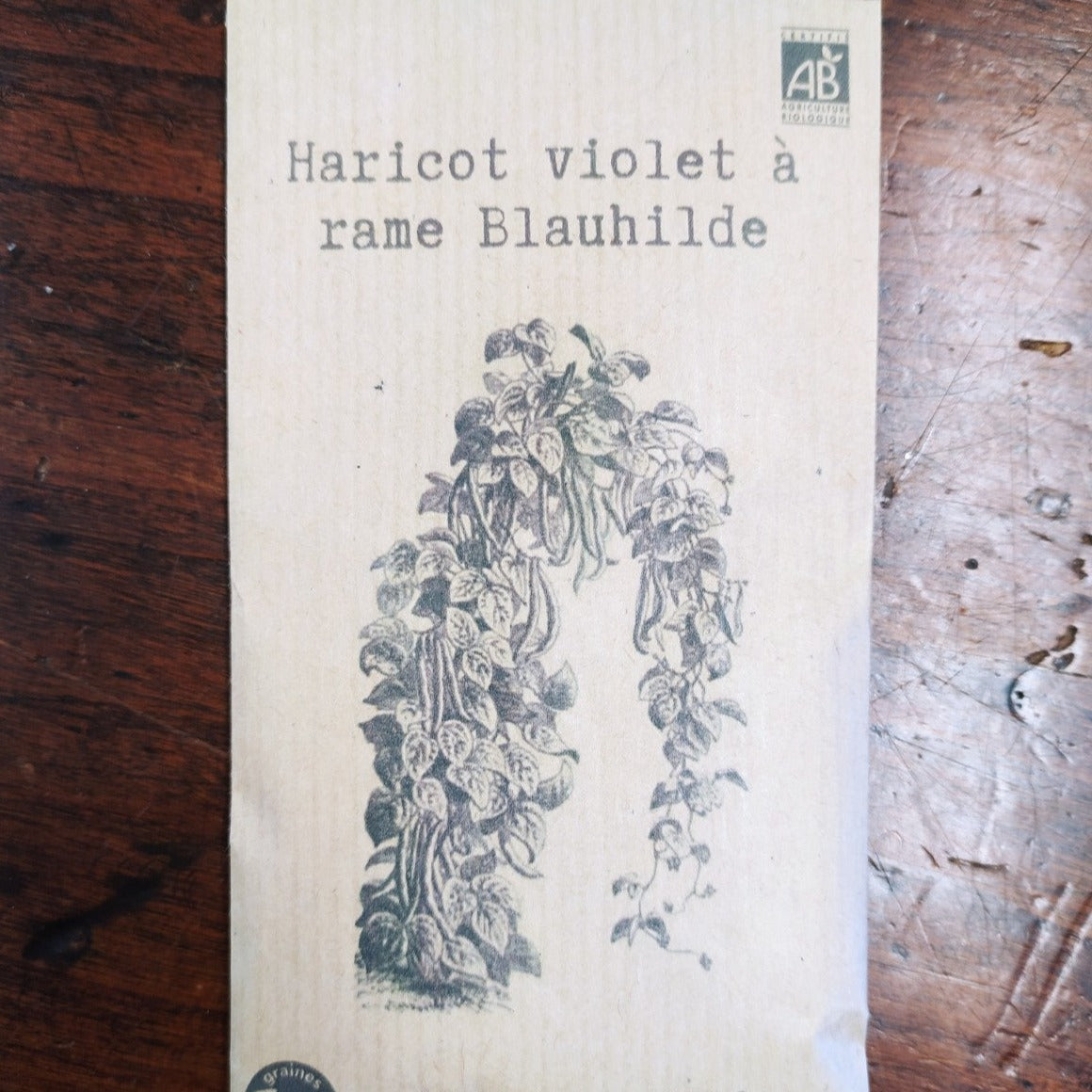 Haricot violet à rame Blauhilde