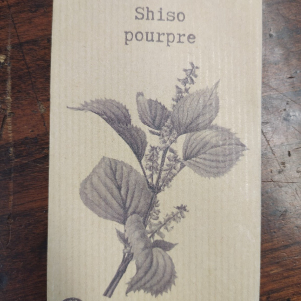 Shiso pourpre