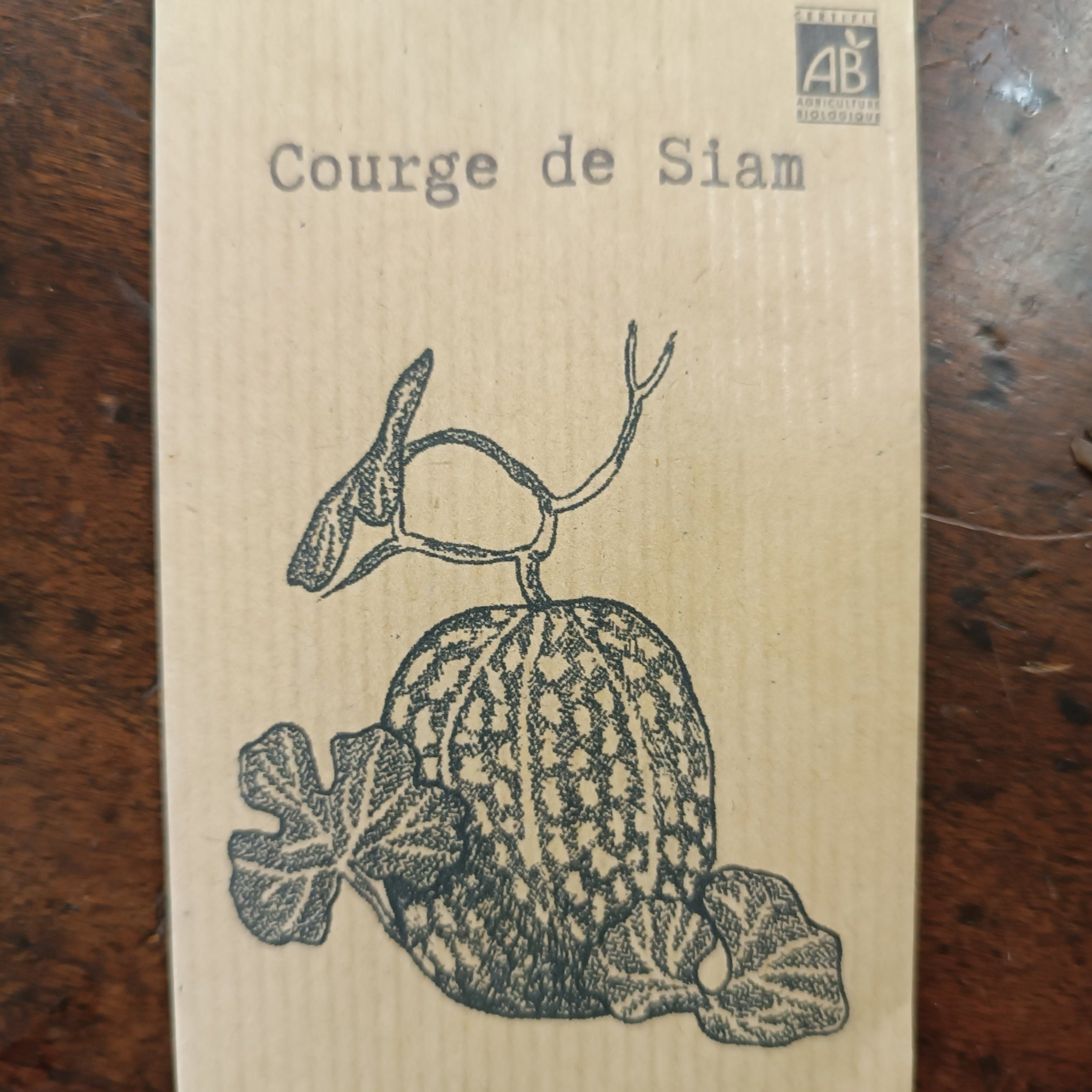 Courge De Siam Recettes Courge Siam Graines Sachet Semaille 11 Courge de Siam – La boutique Graines de Troc