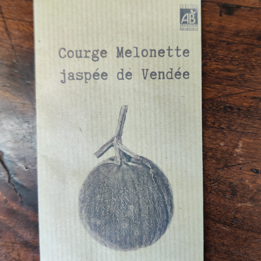 Courge Melonette de Vendée