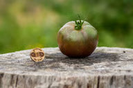 Tomate Cuban Black