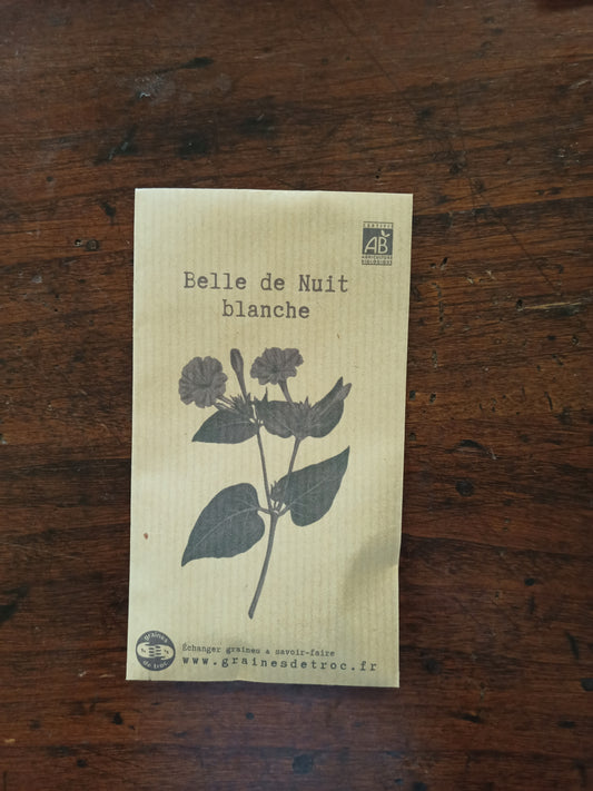 Belle de Nuit blanche