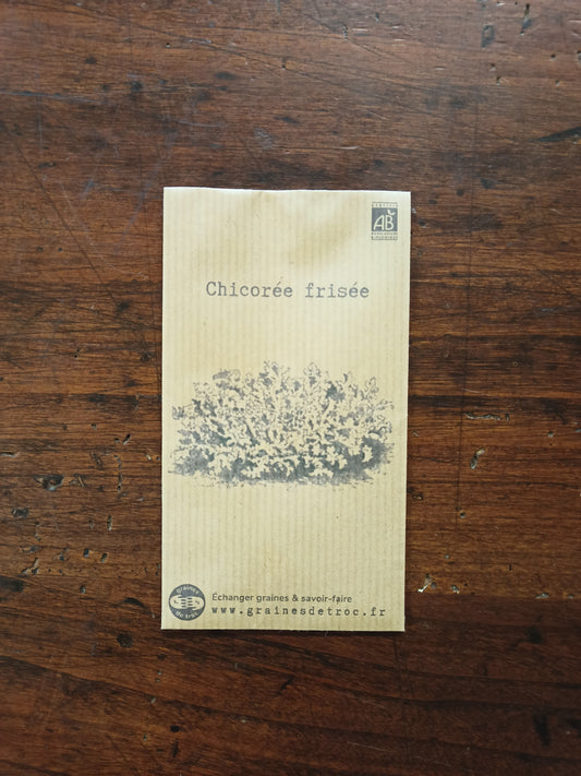 Chicorée Frisée