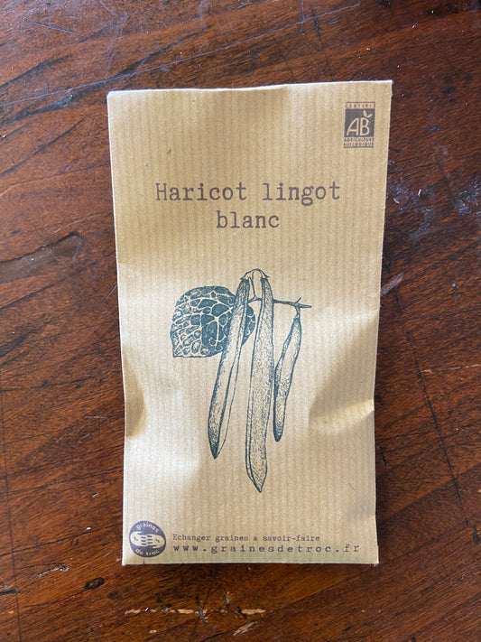 Haricot Lingot blanc