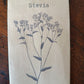 Stevia