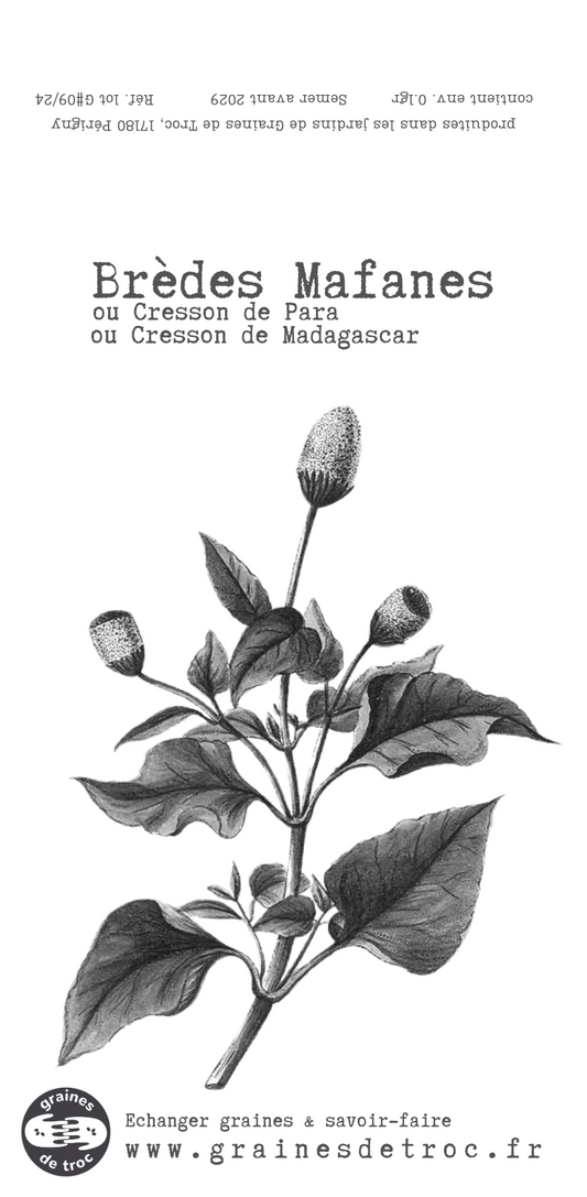 Brèdes mafanes