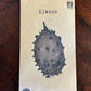 Kiwano