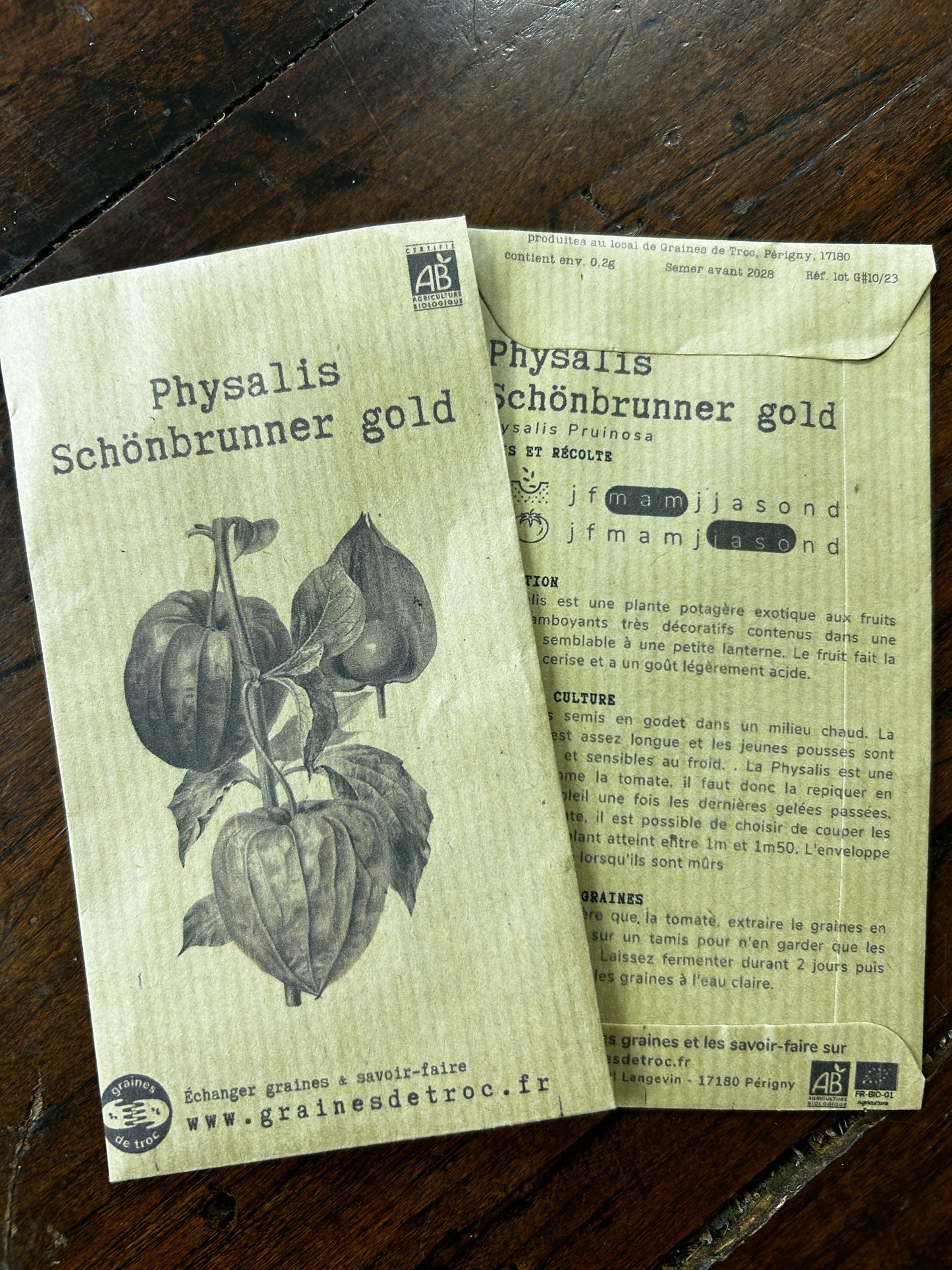 Physalis Schönbrunner gold