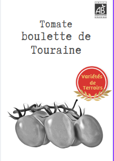 Boulette de Touraine