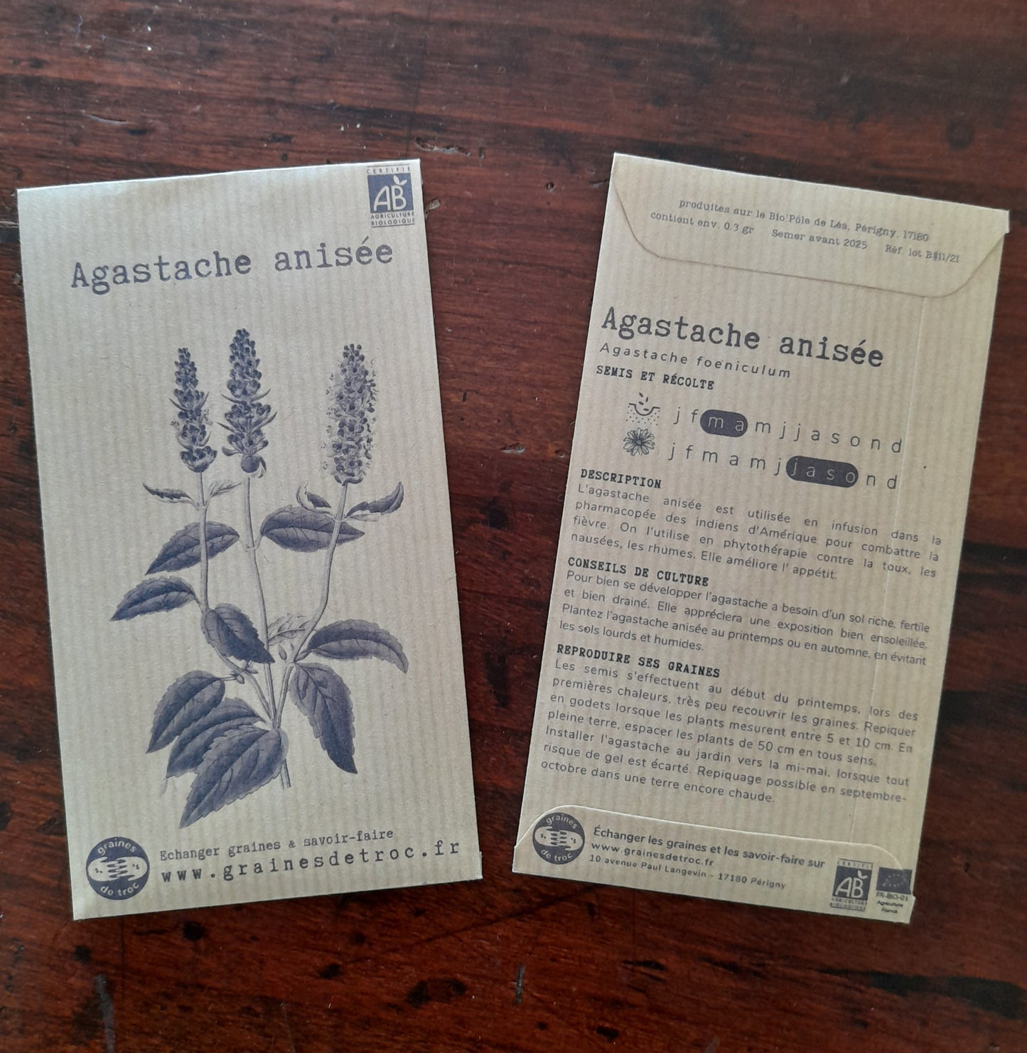 Agastache anisée