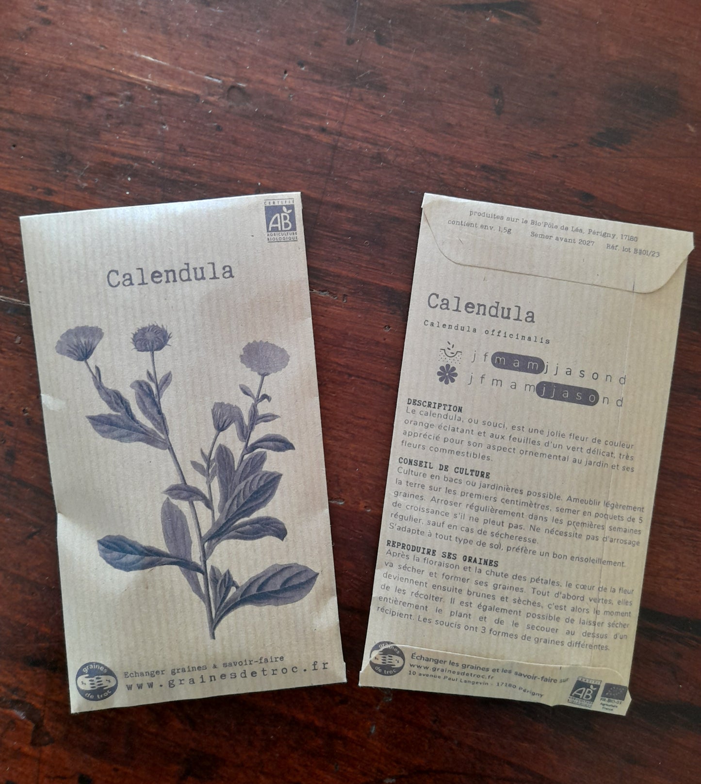 Calendula / souci