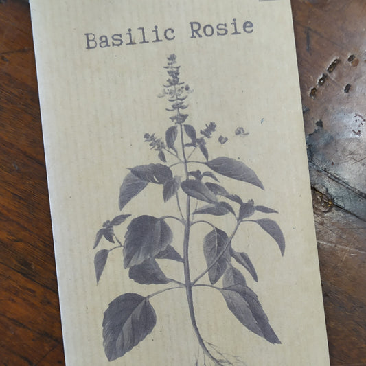 Basilic rosie