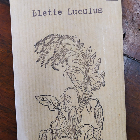 Blette Luculus