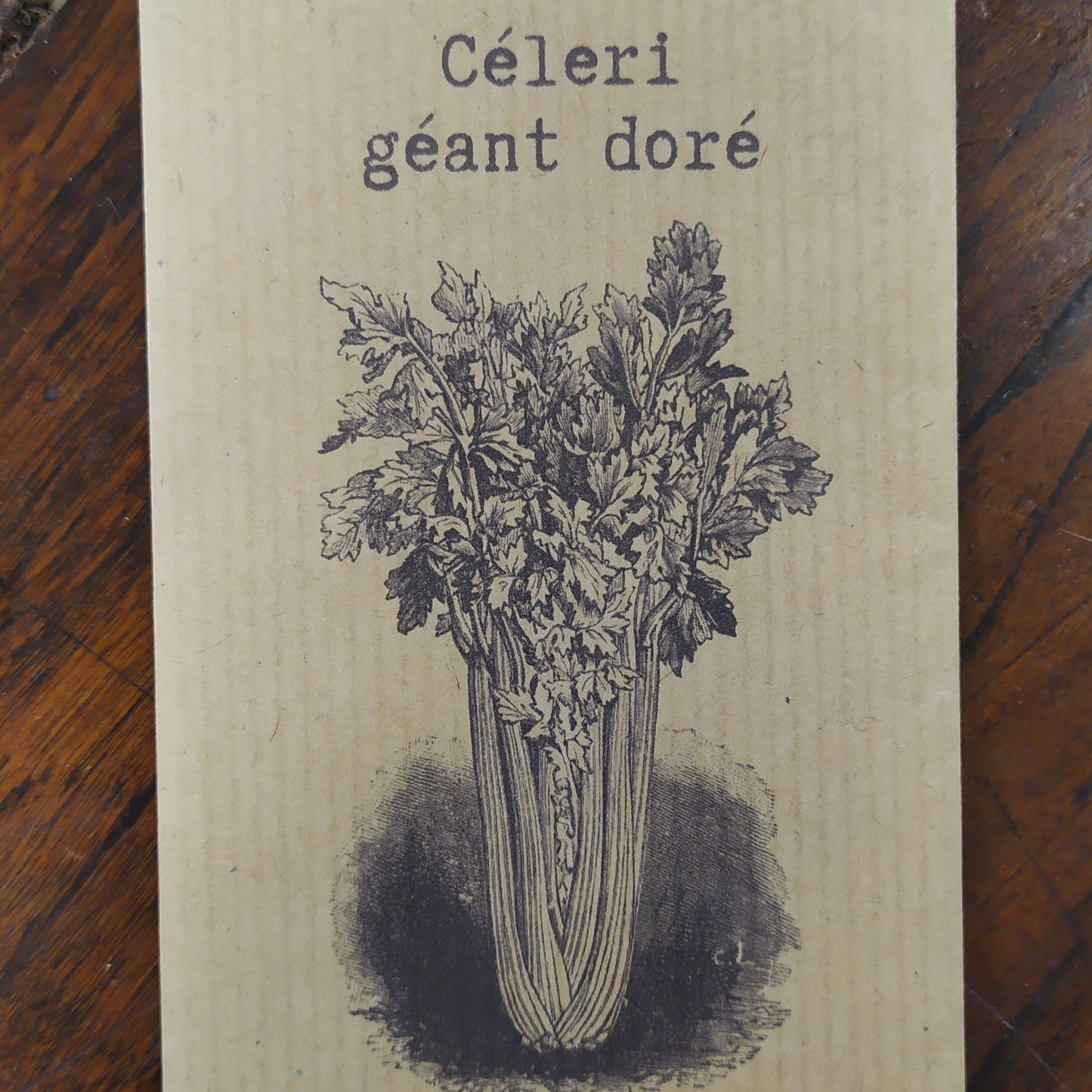 Celeri géant doré