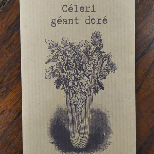 Celeri géant doré