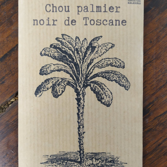 Chou palmier noir de Toscane