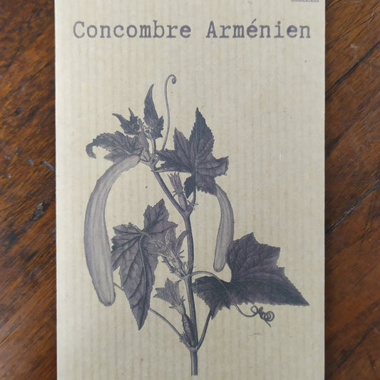 Concombre Arménien