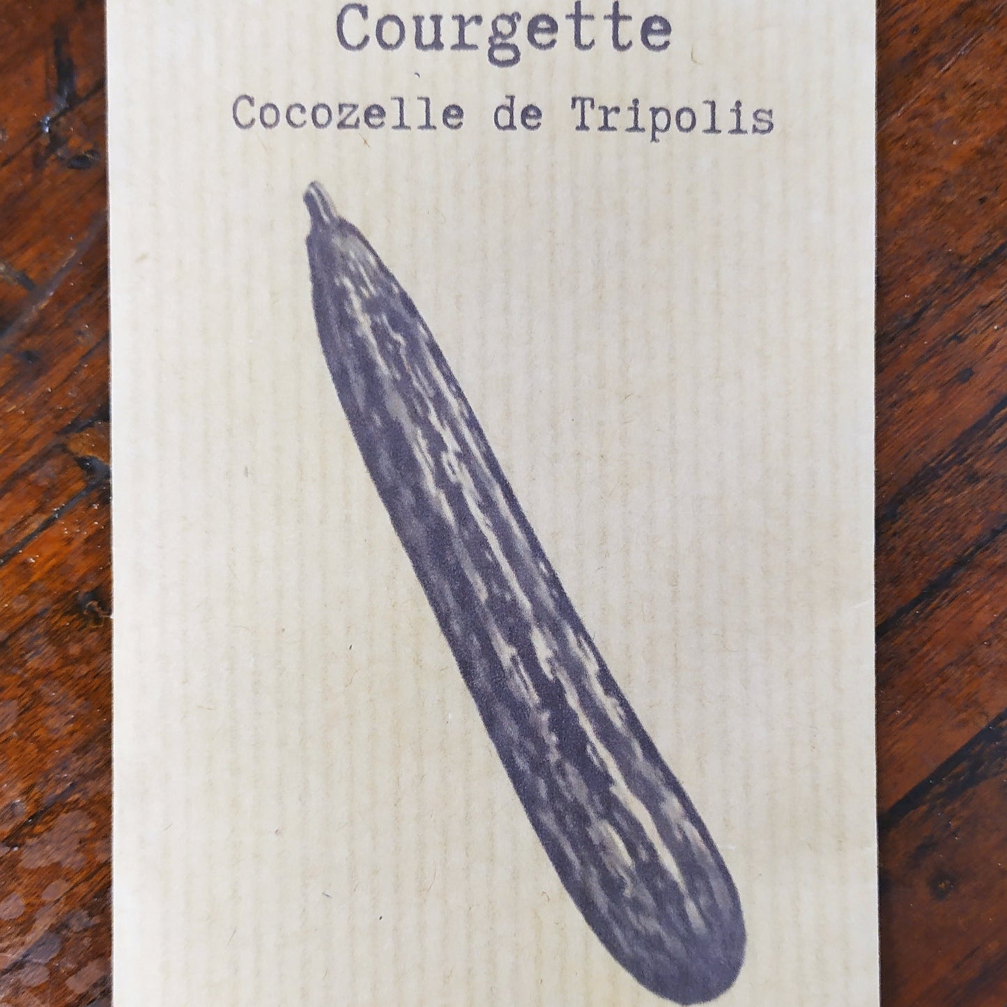 Courgette Cocozelle de Tripolis