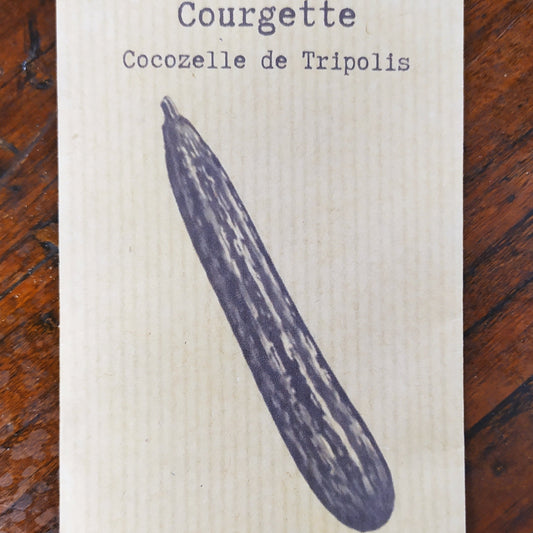 Courgette Cocozelle de Tripolis