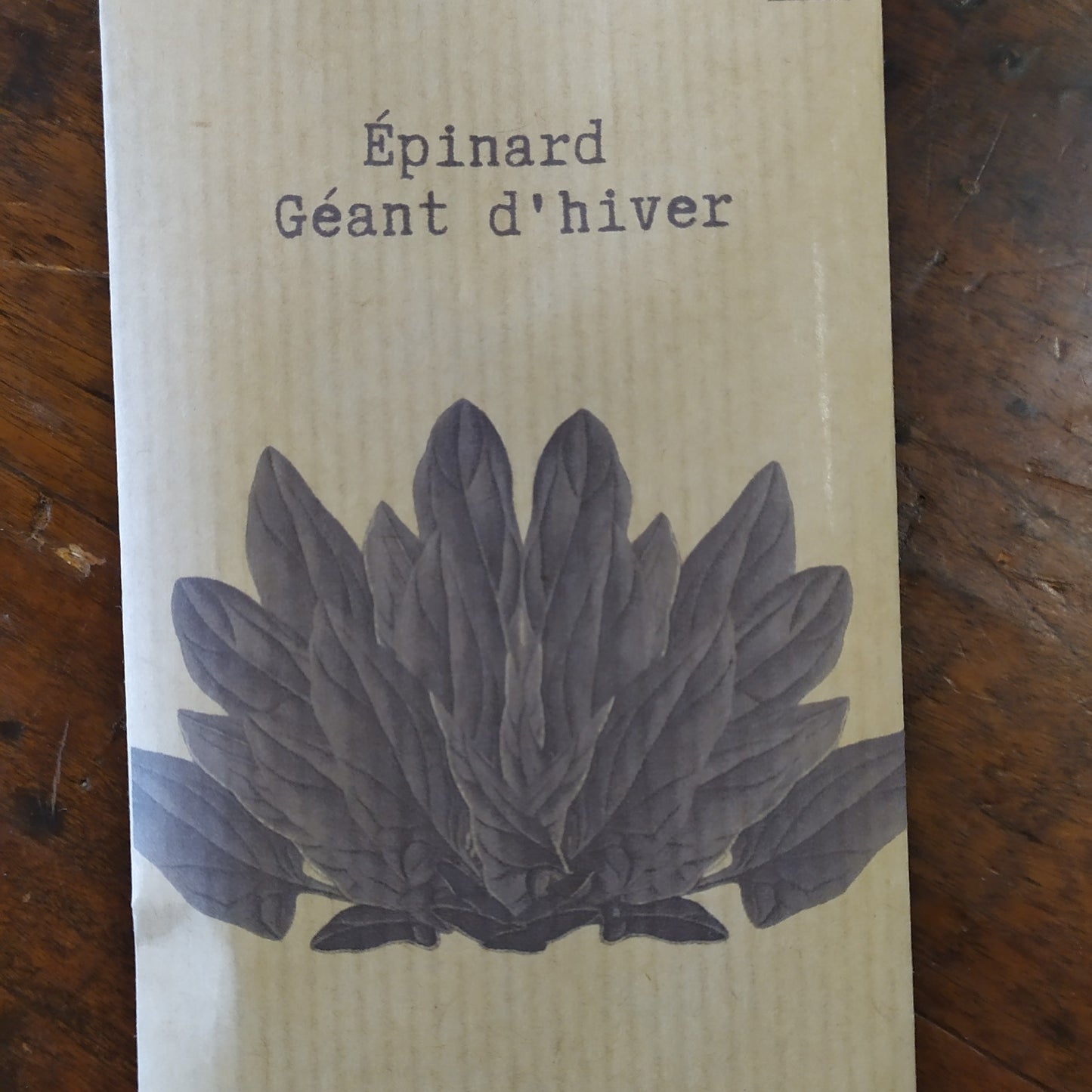 Epinard Géant d'hiver