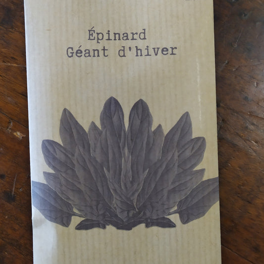 Epinard Géant d'hiver