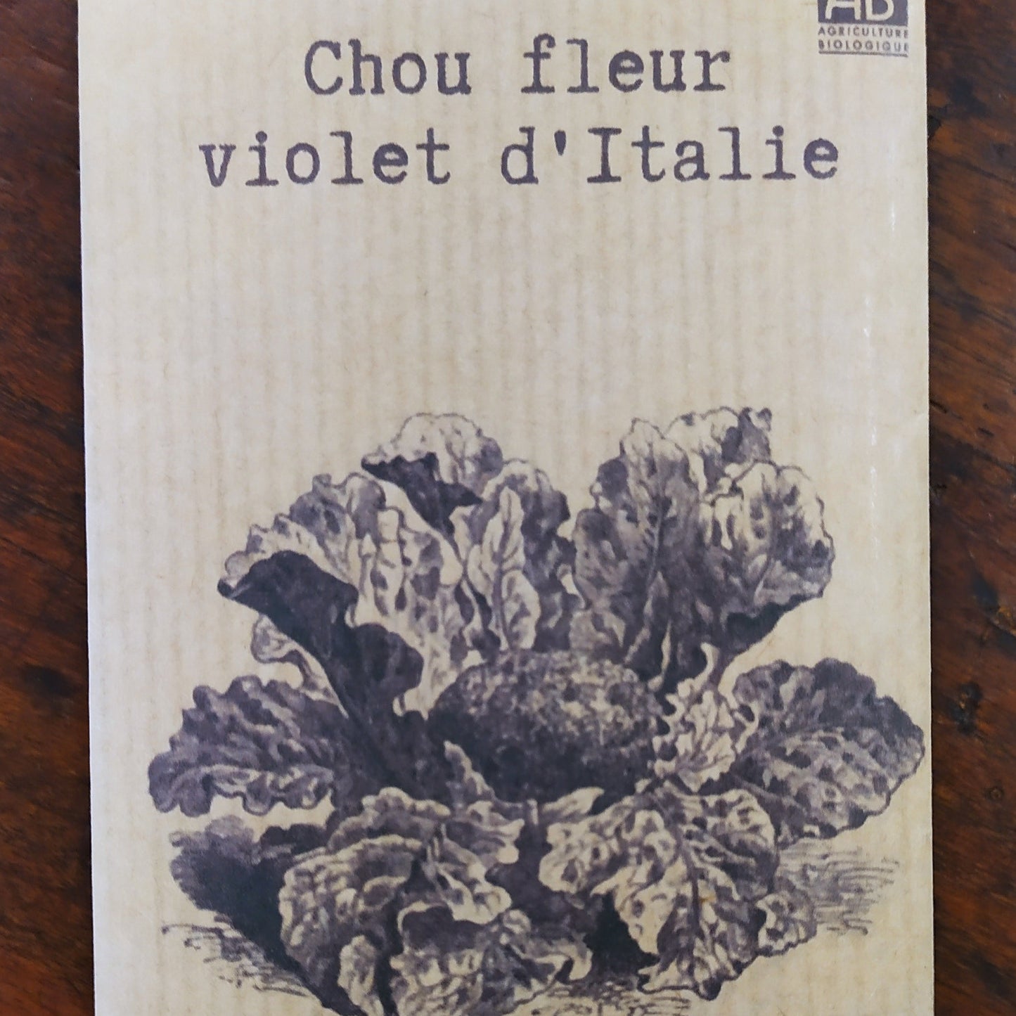 Chou fleur violet d'Italie