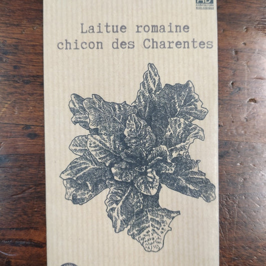 Laitue romaine chicon des Charentes