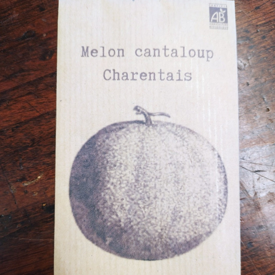 Melon cantaloup Charentais