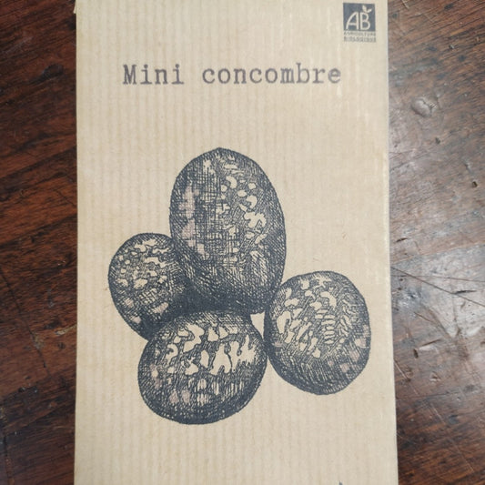 Mini concombre