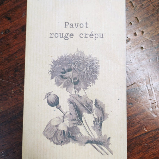 Pavot rouge crépu