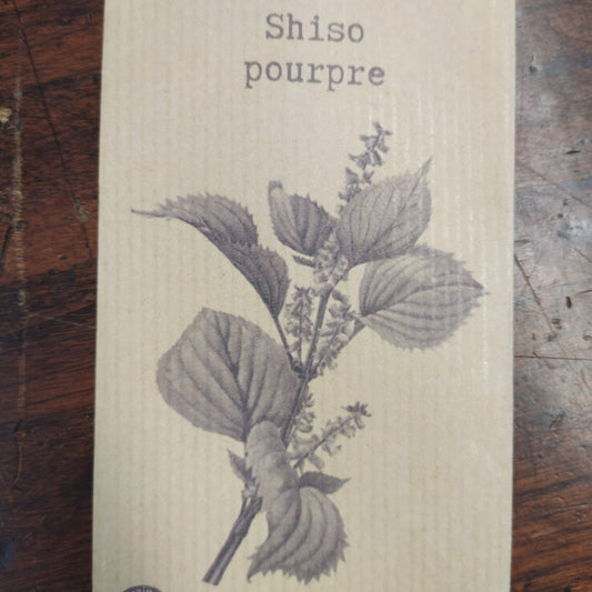 Shiso pourpre