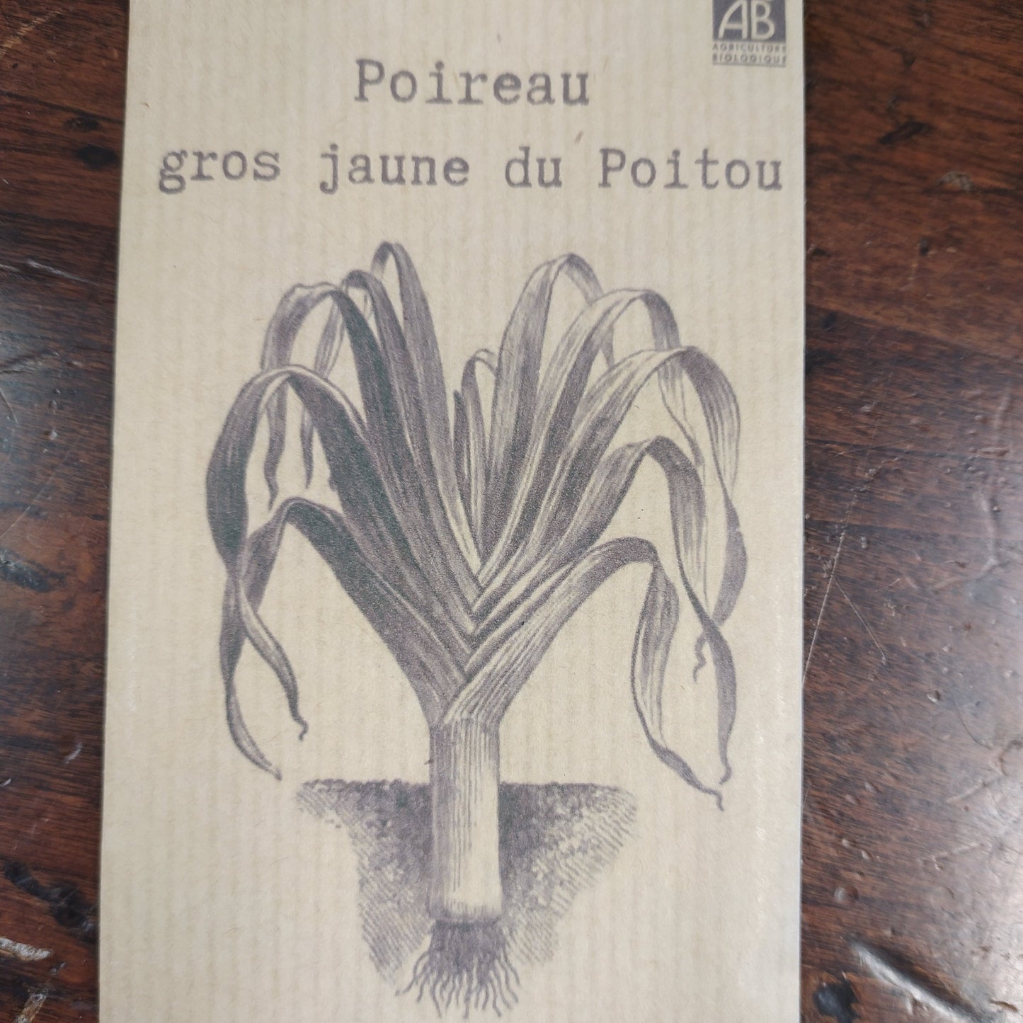 Poireau gros jaune du Poitou