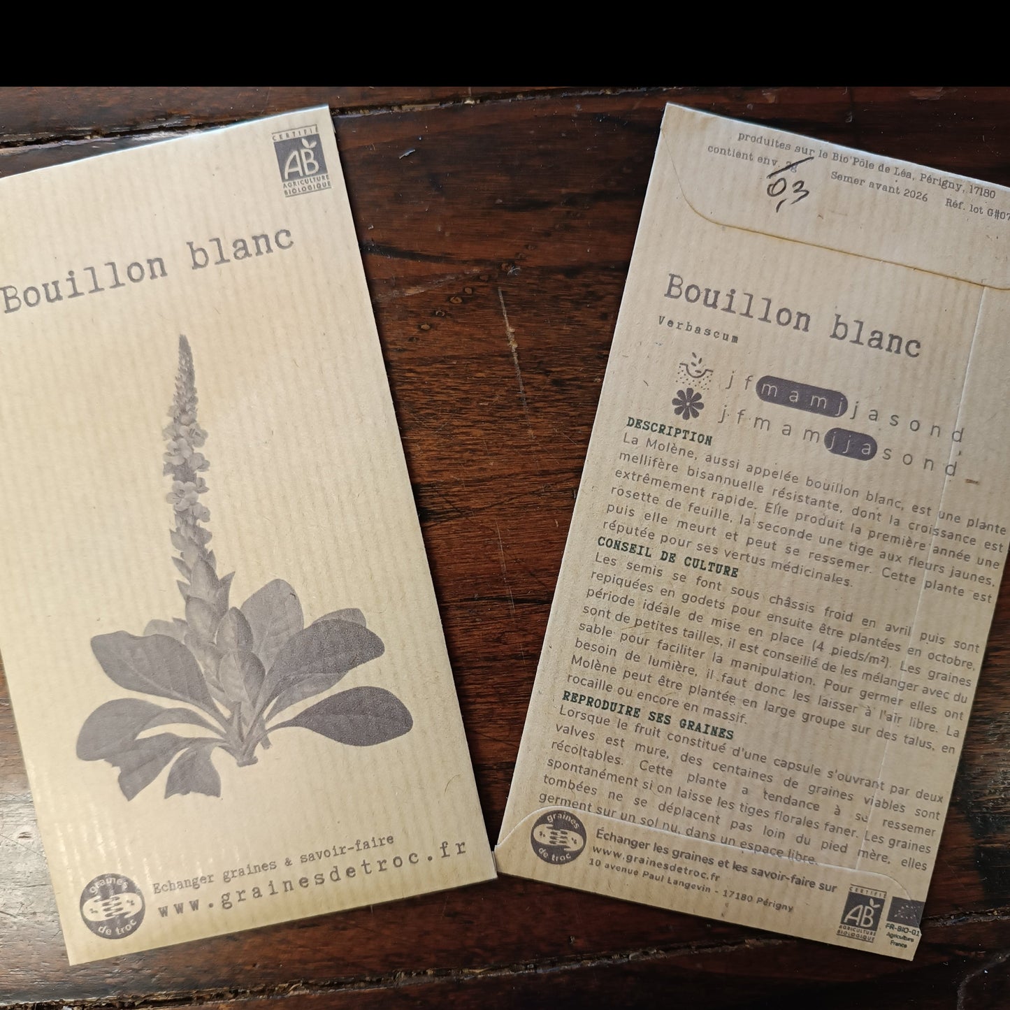 Bouillon blanc ou Molène