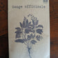 Sauge officinale