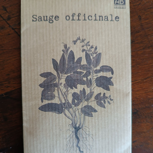 Sauge officinale