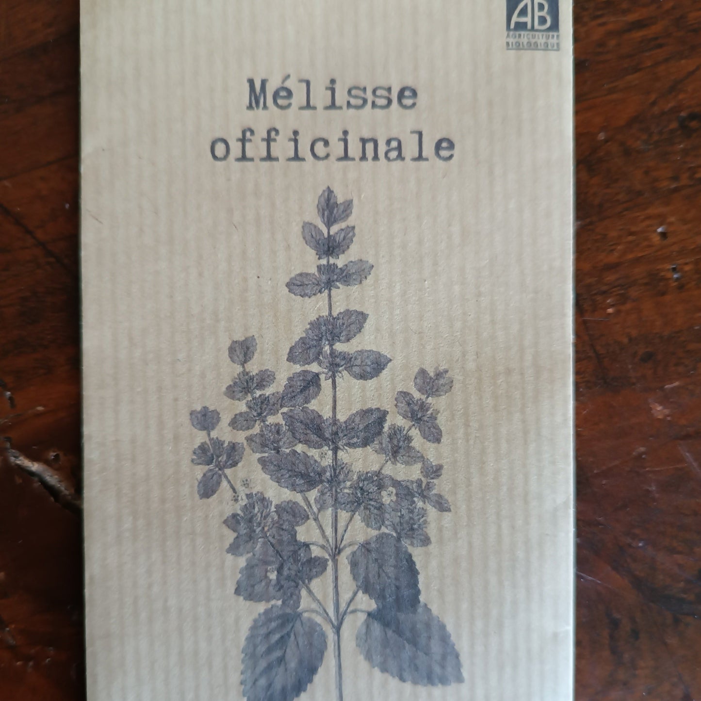 Melisse officinale