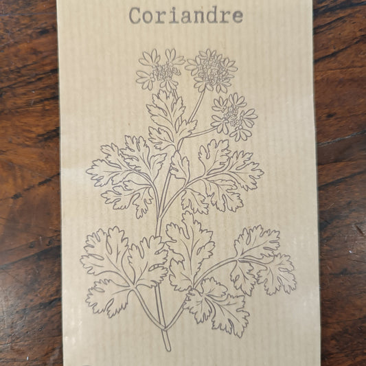 Coriandre