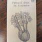 Fenouil Doux de Florence