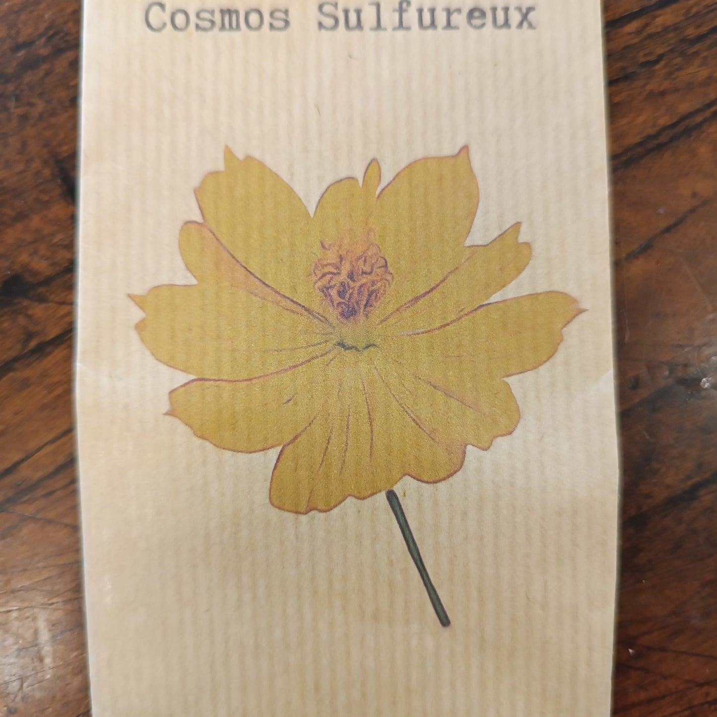 Cosmos Sulfureux